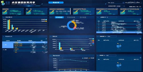 水發(fā)集團(tuán)自主研發(fā)數(shù)據(jù)分析系統(tǒng)獲軟件著作權(quán)證書，引領(lǐng)行業(yè)數(shù)字化轉(zhuǎn)型新篇章